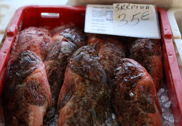 Šibenik: Loše vrijeme ispraznilo ribarnicu.