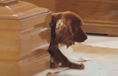 Poginuo u potresu u Italiji, pas se nije htio maknuti od lijesa