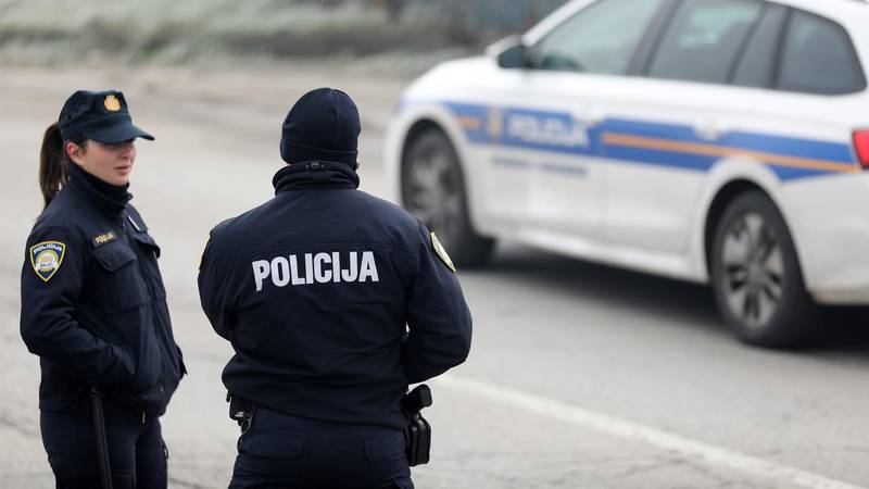Konj joj istrčao pred auto kod Grubišnog Polja. Šteta je čak 4000 €, konj samo odšetao...