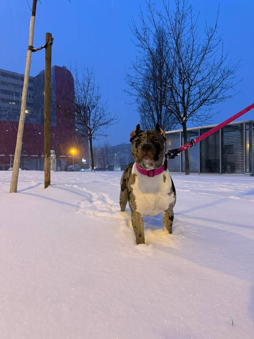 Općinska komunalka sama 'izlopatala' snijeg sa staze: 'Nema nikakve drame u tome'
