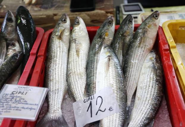Šibenik: Skromna ponuda srdela i ostale ribe na ribarnici