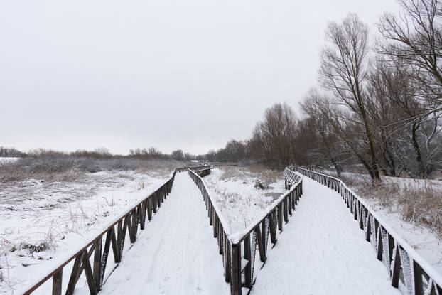 Kopački rit: Zimska idila u Baranji 