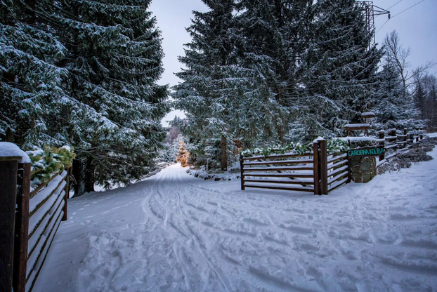 FOTO Čarobna koliba Ive Todorić kao da je ispala iz bajke: Tako izgleda prava zimska idila...
