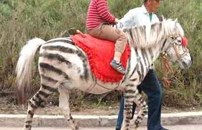 Kinezi boje bijele konje da izgledaju kao zebre