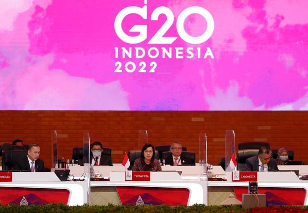 G20 finance ministers, central bankers and senior officials meet in Bali