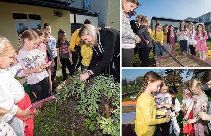 V. osnovna škola u Varaždinu u dvorištu ima gredice povrća i voća: 'Hrana iz vrta je ukusnija'