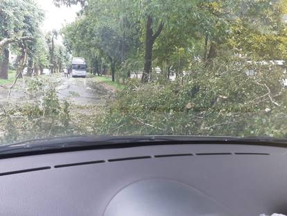 FOTO Pogledajte koliku je štetu napravilo jako nevrijeme u Sisačko-moslavačkoj županiji