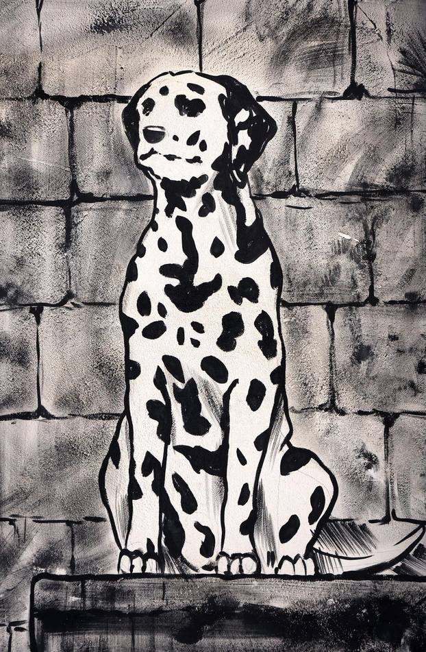 Šibenik:Otvoren muzej dalmatinskom psu,dalmatincu 