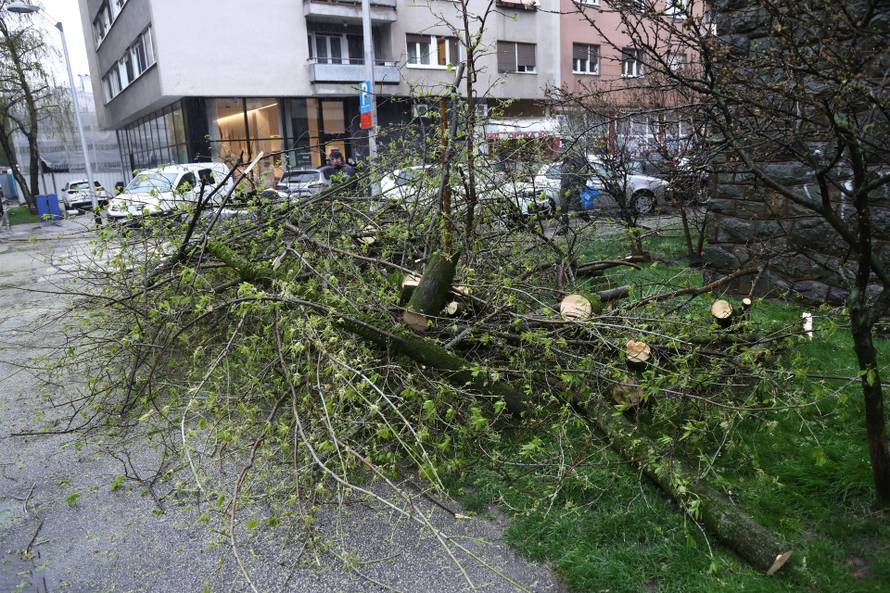 Zagreb:  Nevrijeme i jak vjetar ruše drveće koje pada po automobilima 