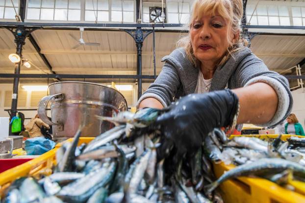 Split: Bogata ponuda ribe petkom u splitskoj ribarnici