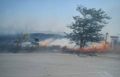 Izbio je požar pokraj ninske ciglane, izgorjela je samo trava