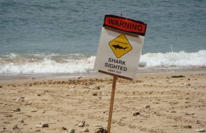 Na Havajima morski pas napao ženu! Vlasti zatvorile sve plaže