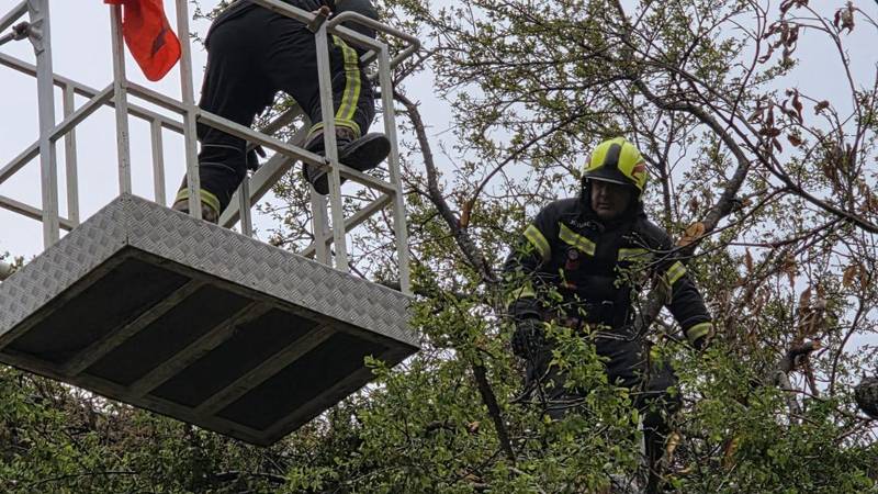 Vrtići u Zagrebu otvoreni nakon olujnog nevremena. Još traje sanacija: 'Ne idite na Sljeme'