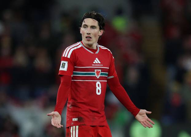 FIFA World Cup - UEFA Qualifiers - Semi Final - Wales v Bosnia and Herzegovina