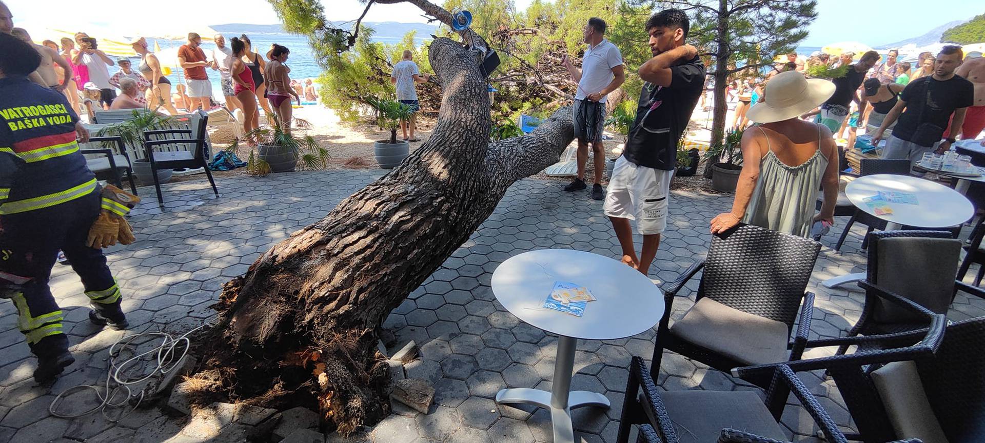 Drama u Baškoj Vodi: Na plažu palo stablo, četvero ozlijeđenih