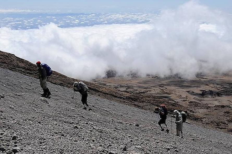 Reed Hoffmann-Disabled Sports USA