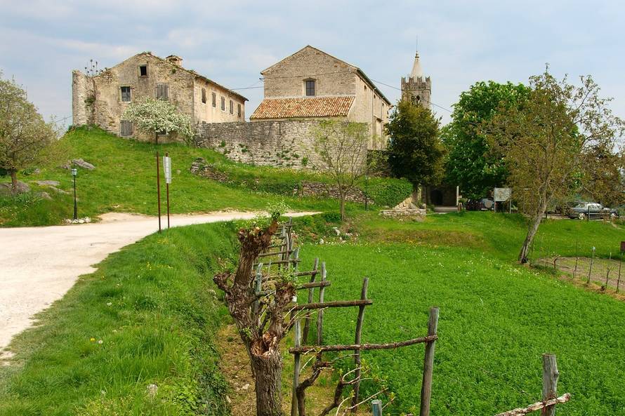 Tomislav Miletić/PIXSELL