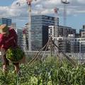 Mogu li Split i Oslo pod isti krov? Da, U HNK u Splitu na Green Future konferenciji