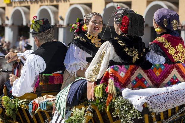 Vinkovci: Svečani mimohod sudionika 60. Vinkovačkih jeseni