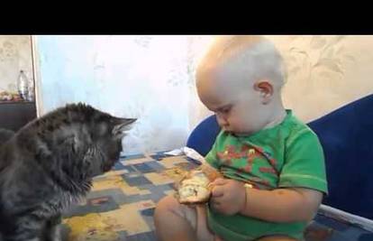 Malo tebi, pa malo meni: Beba i mačak složno su dijelili užinu
