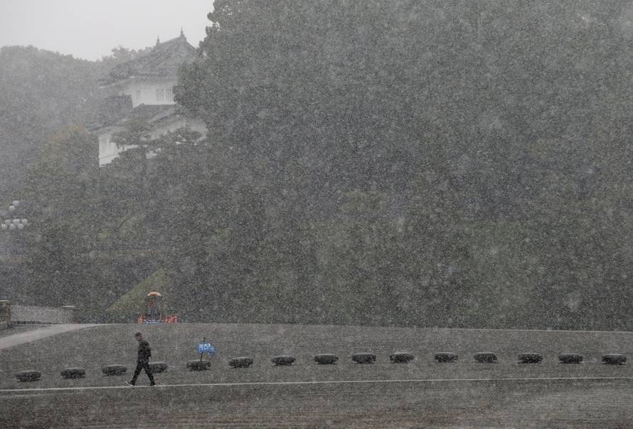 A man walks during the first November snowfall in 54 years in Tokyo, at the Imperial Palace in Tokyo