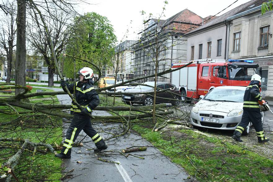 Sisak: Intervenirali vatrogasci nakon što je jaki vjetar oborio stablo na automobil