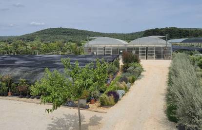 Razvijamo ljubav prema bilju: Rasadnik Darko kao simbol kvalitete i tradicije