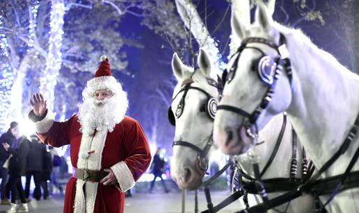 Lipicanci Sokol i Javor prave su zvijezde Adventa u Zagrebu