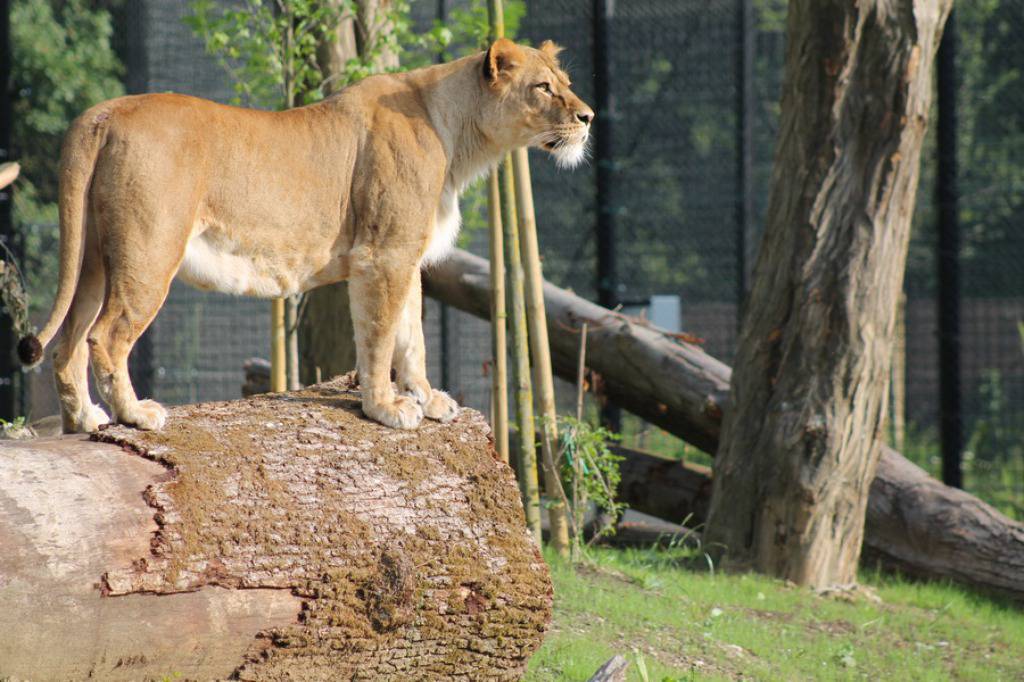 Zoo Zagreb