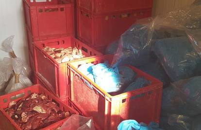Našli ilegalnu mesnicu u Ozlju: Zaplijenjeno skoro 5 tona mesa
