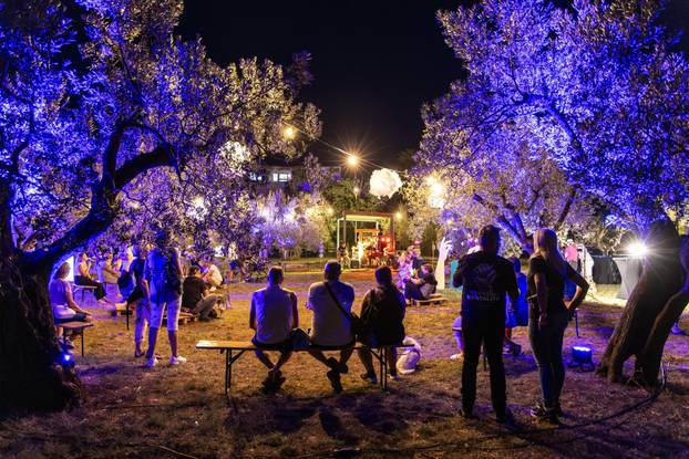 Fažana: Održana manifestacija "Rapsodija u plavom"