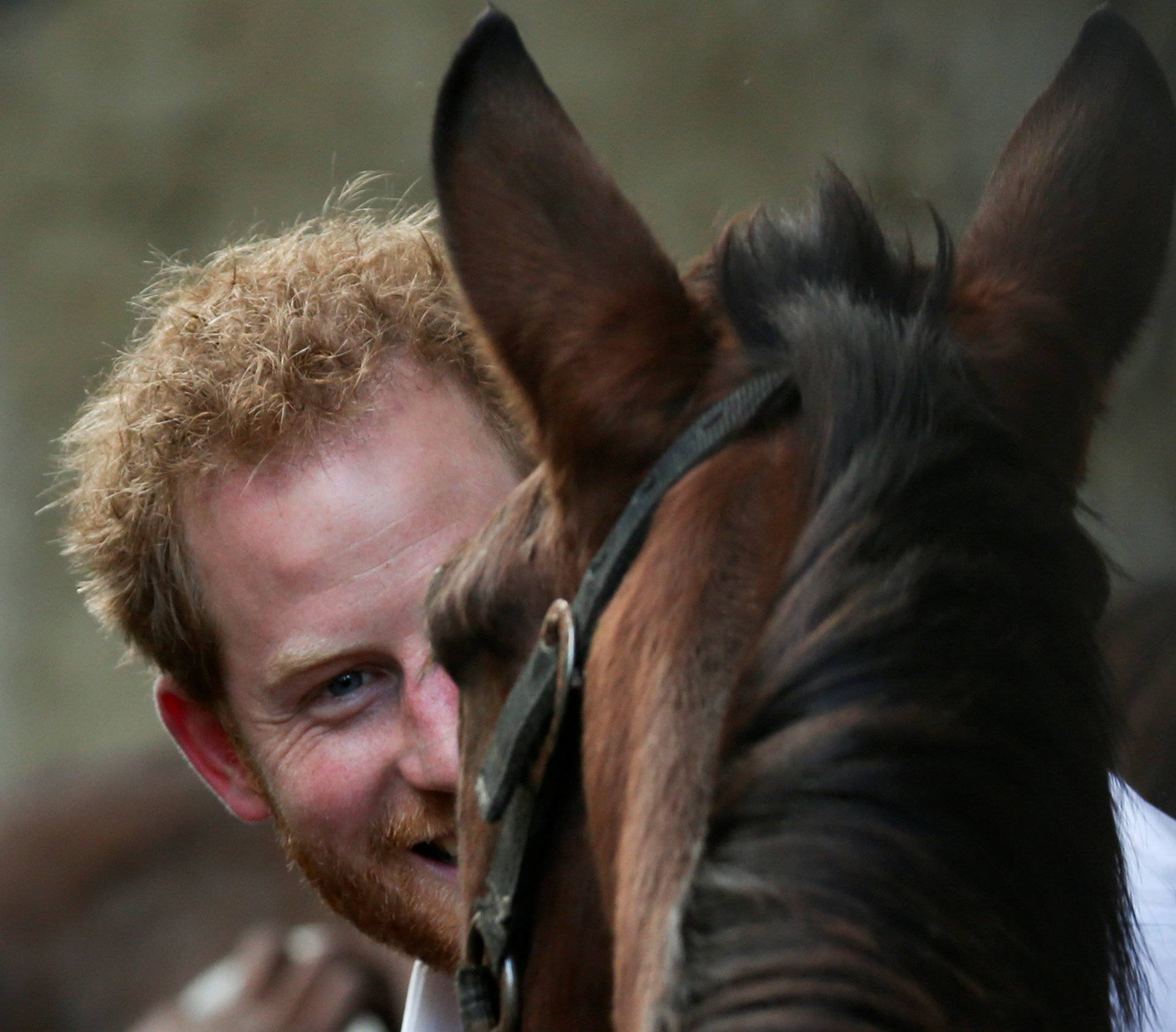 Britain's Prince Harry look at horses as he tours the Nature Fun Ranch in St. Andrew, Barbados