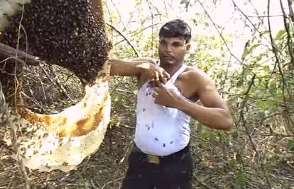 'Više ne osjećam bol': Ispod majice je natrpao hrpu pčela