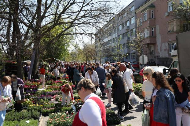 Osijek: Festival cvijeća i drveća 2026.