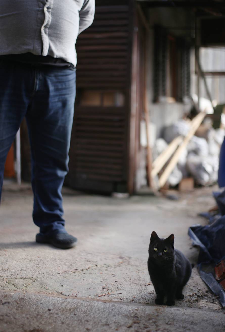 Dobri div Dado dao je 126 doza krvi. Živi u neljudskim uvjetima na početku šume. Htio bi cipele