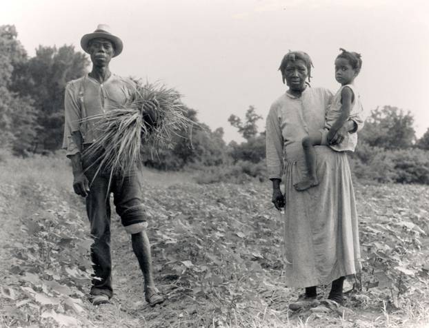 A Mississippi Negro Family Who Live On A Cotton Patch Near Vicksburg. 1936 July. Photographer Dorothea Lange.
