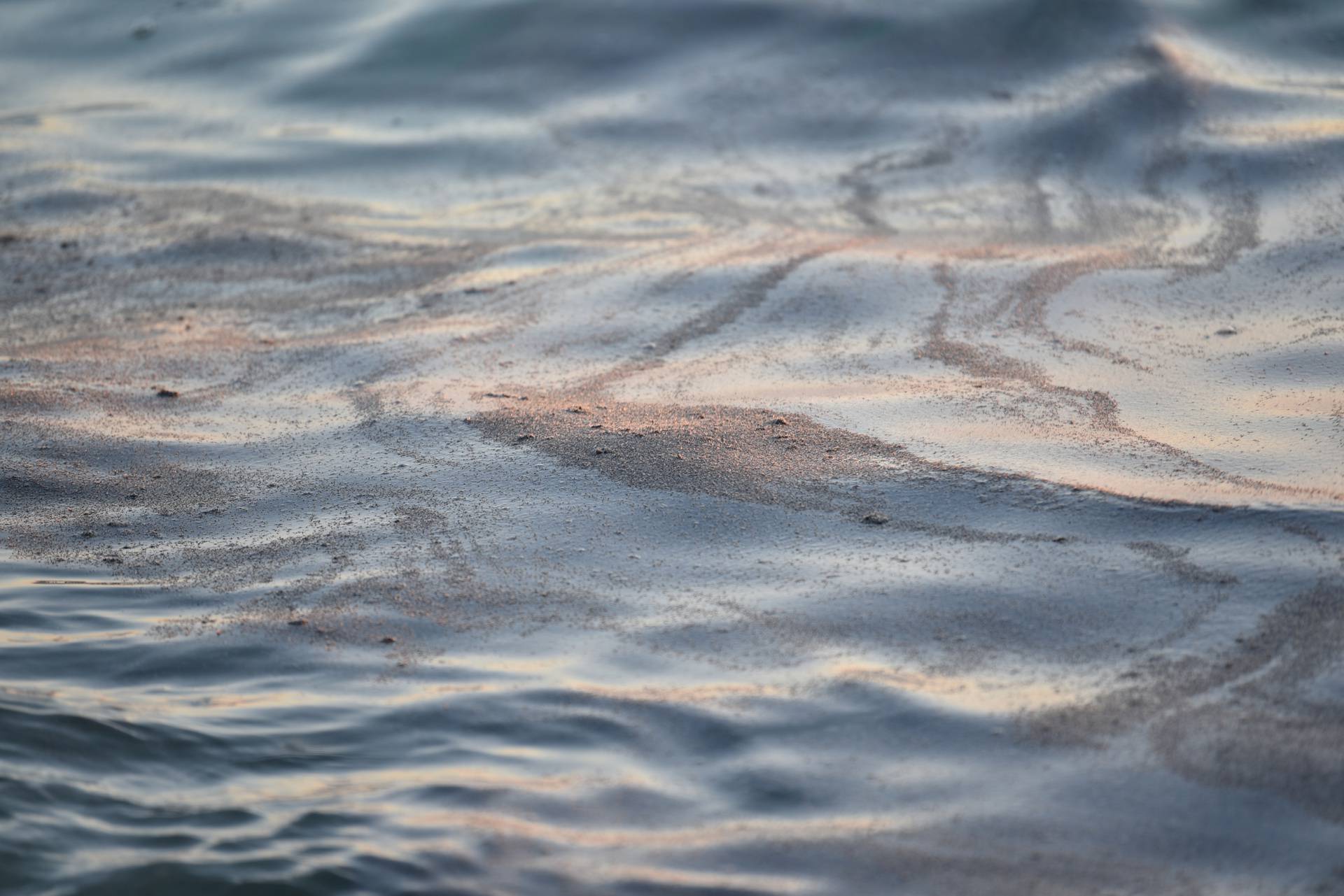 Mušice preplavile more na plaži Donja Luka u Makarskoj