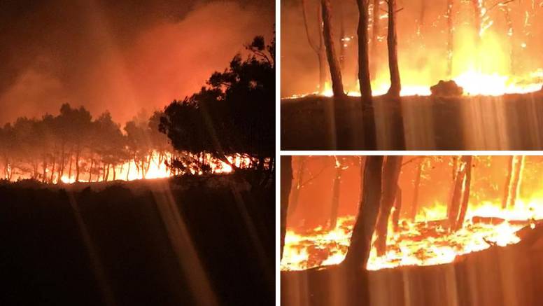 Dramatična snimka: Pogledajte kako požar guta šumu na Zrću