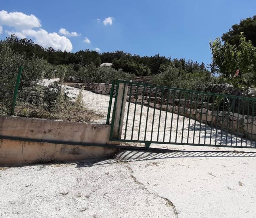 Očajni otac brani sina ministra: 'Pola Brača ima više nego on!'