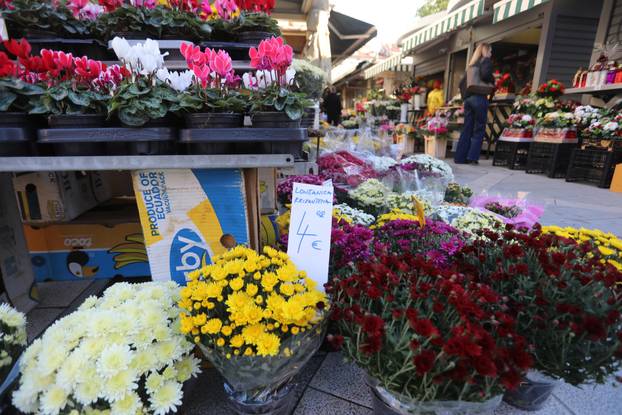 Rijeka: Prodaja krizantema uoči blagdana Svih svetih