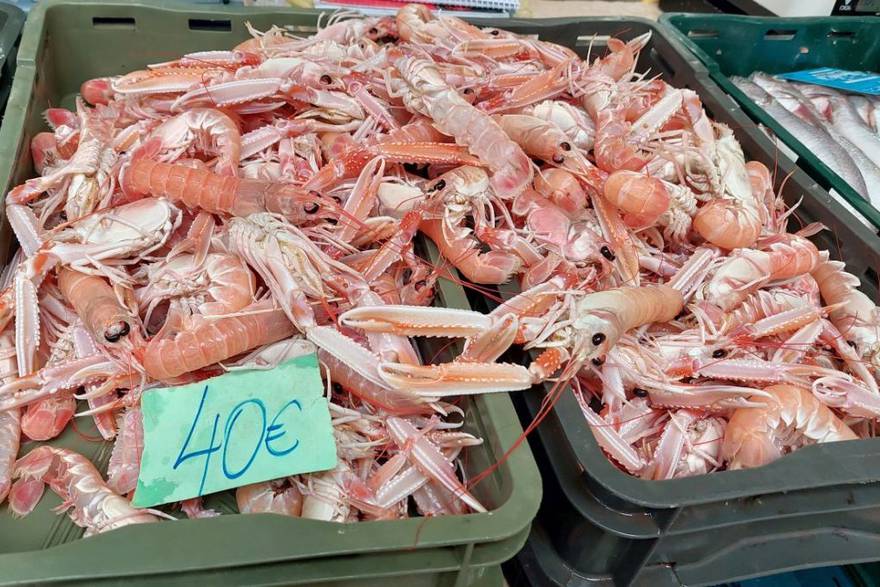 Škampi od 40 eura hit na splitskoj ribarnici: 'Tko ih kupuje? Domaći, srdele ne žele'