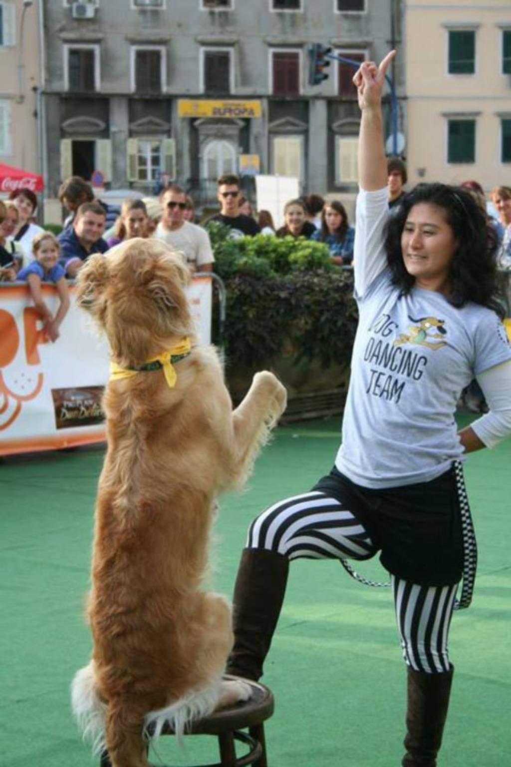 www.dogdancingteam.hr