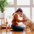 Evo kako psi pokazuju ljubav prema vlasniku - više je načina
