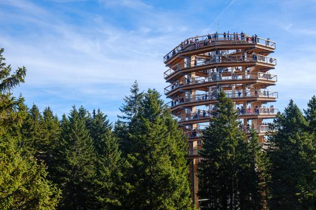 Forest canopy tower and walkway, footpath above treetops