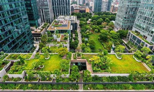 Gradove vidi kao živo tkivo: U budućnosti će krovovi zgrade imati vrtove, svi će voziti bicikle