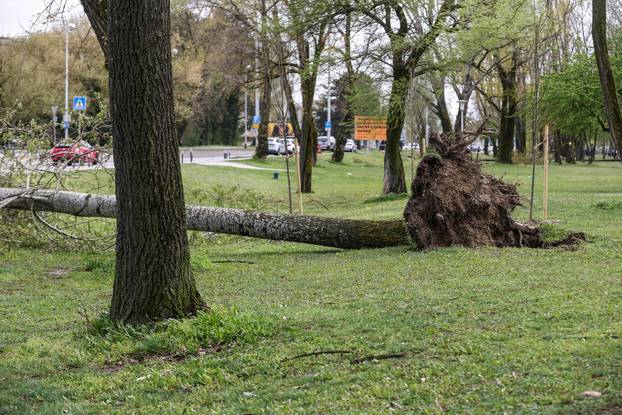 Zagreb: Olujno nevrijeme počupalo stabla na Bundeku 