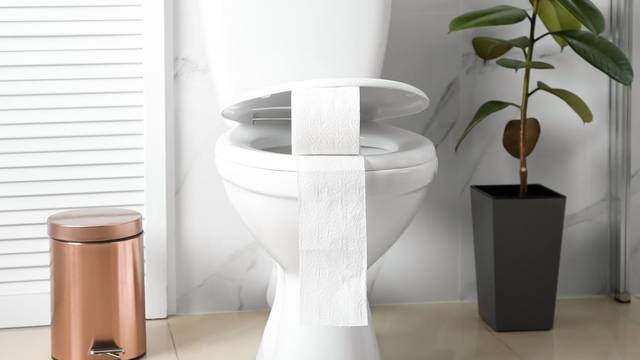 Toalet papir nikad ne stavljajte na WC školjku - nehigijenski je!