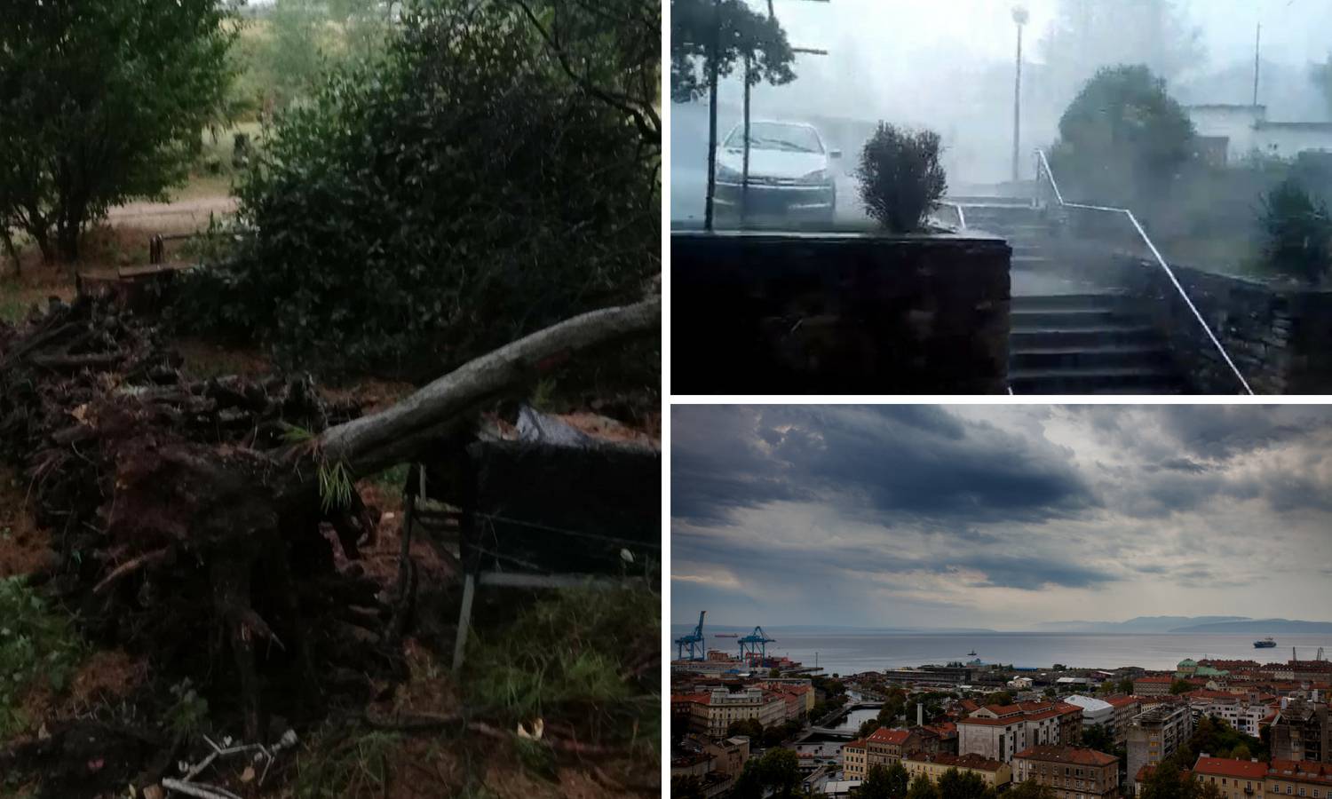 Nevrijeme već poharalo Istru, vjetar čupao stabla u Višnjanu
