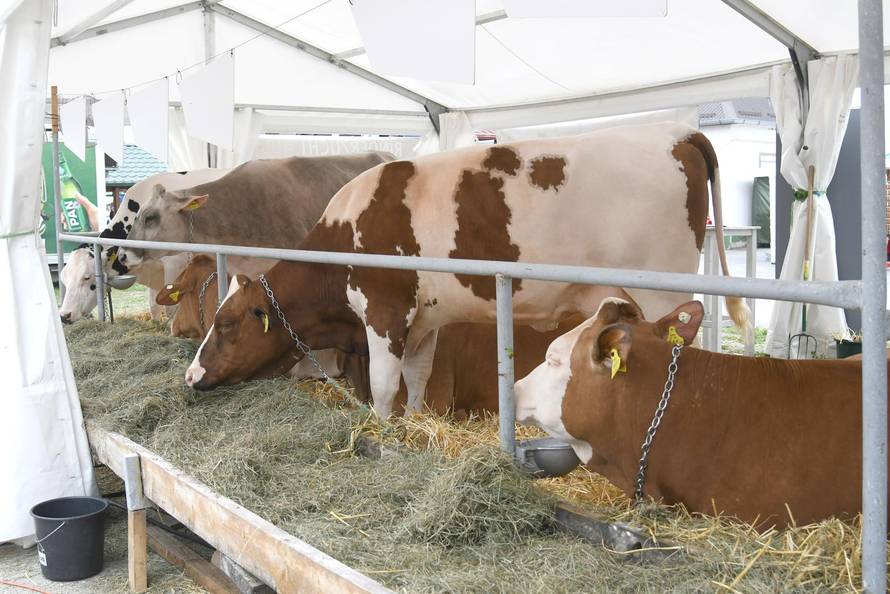 Gudovac: 32. izdanje međunarodnog jesenskog sajma