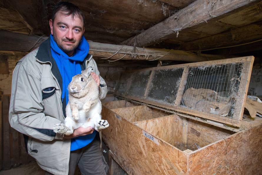 Uzgajali činčile, nojeve, smilje: Uložili su milijune i sve izgubili